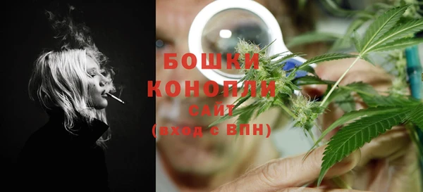 не бодяженный Гусев