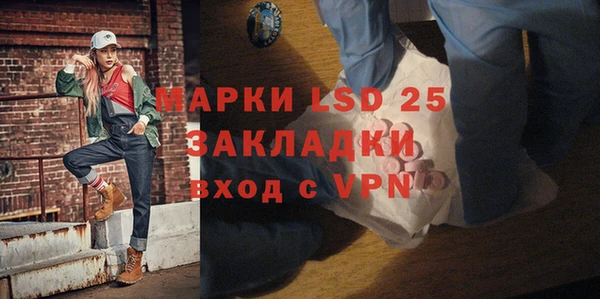 индика Тобольск