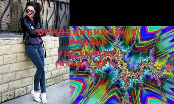 мяу мяу мука Гусиноозёрск