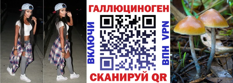 Галлюциногенные грибы прущие грибы OMG ссылки Горнозаводск